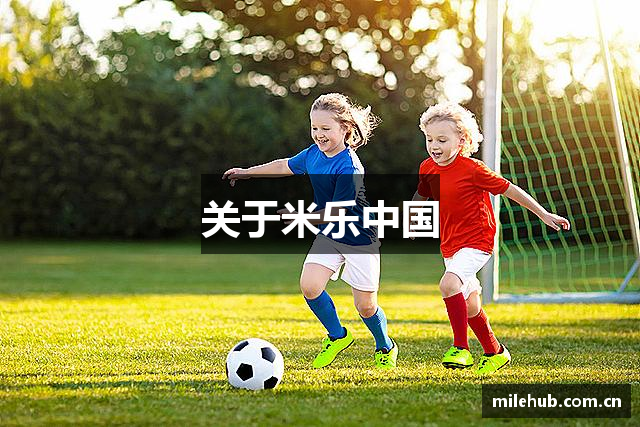 关于米乐中国